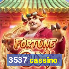 3537 cassino